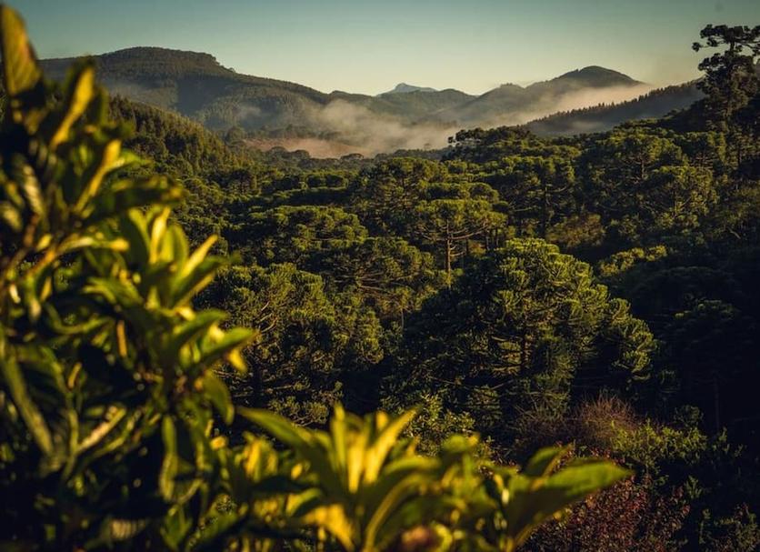 Pemandangan luar Foto