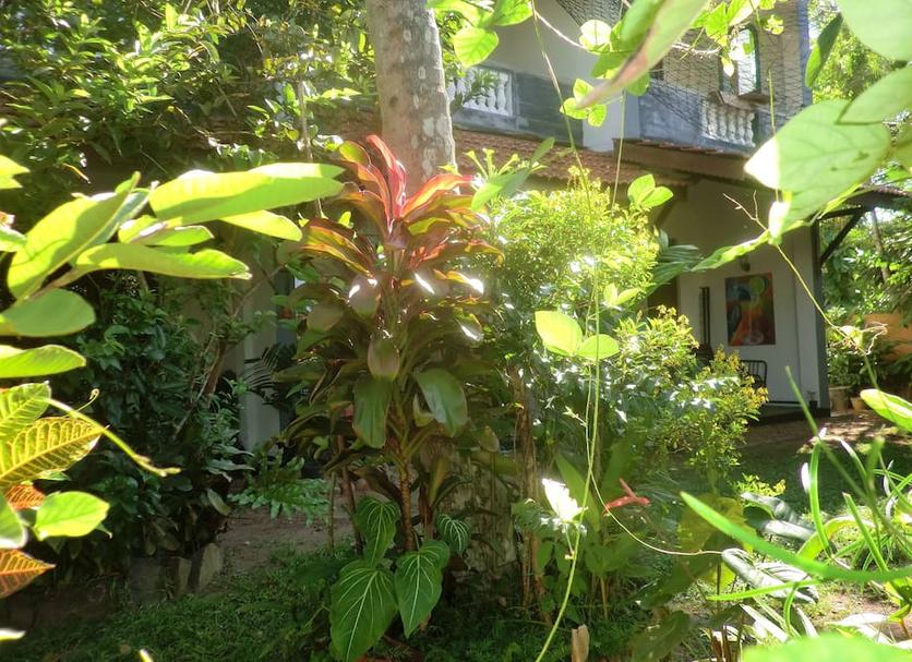Pemandangan luar Foto