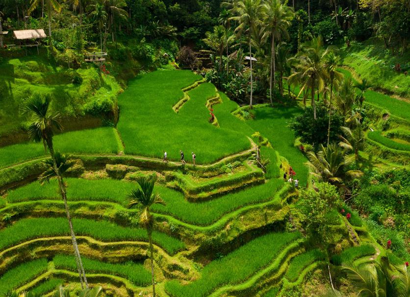 Pemandangan luar Foto