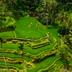 Pemandangan luar