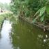 Pemandangan luar
