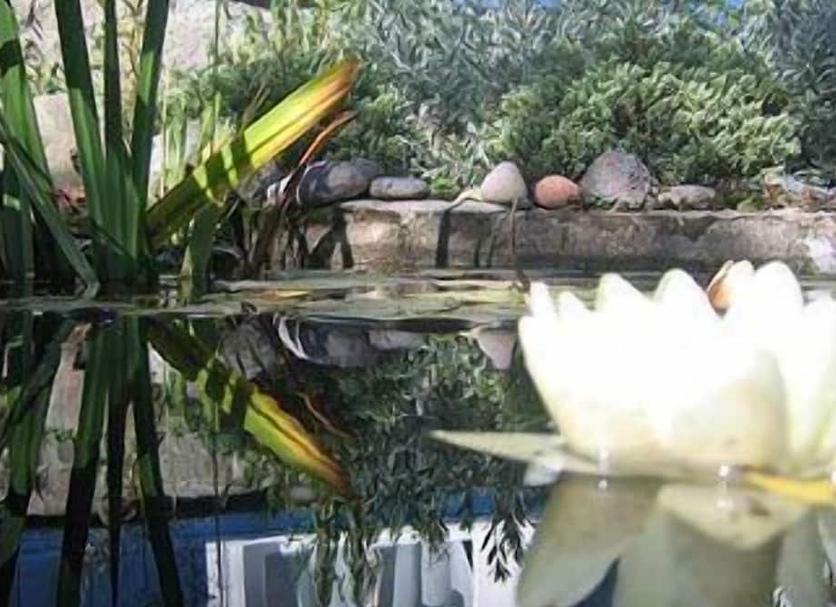 Pemandangan luar Foto