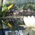 Pemandangan luar