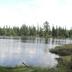 Pemandangan luar