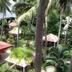 Pemandangan luar