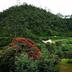 Pemandangan luar