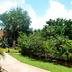 Pemandangan luar