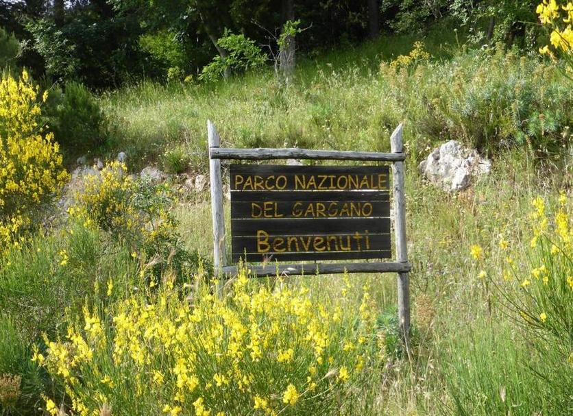 Pemandangan luar Foto