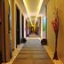 Lorong