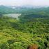 Pemandangan luar