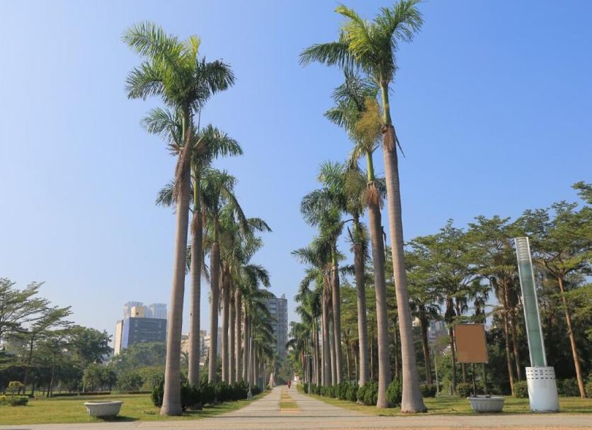 Pemandangan luar Foto