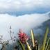 Pemandangan luar