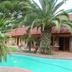 Kolam