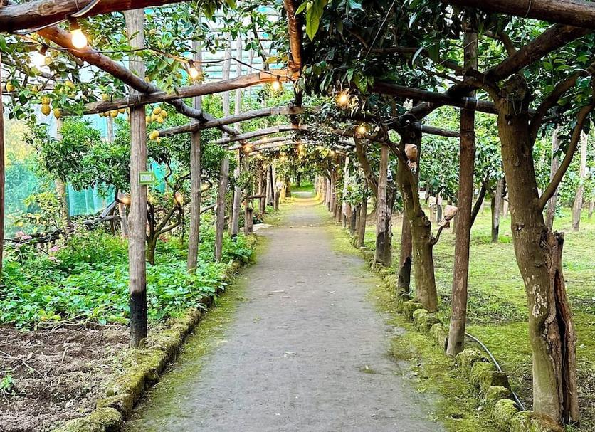 Pemandangan luar Foto