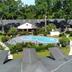 Kolam