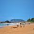 Pantai