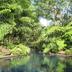 Pemandangan luar