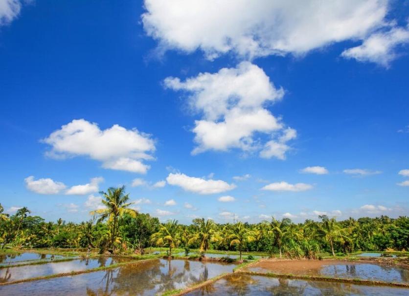 Pemandangan luar Foto