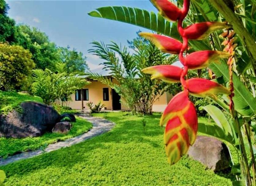 Pemandangan luar Foto