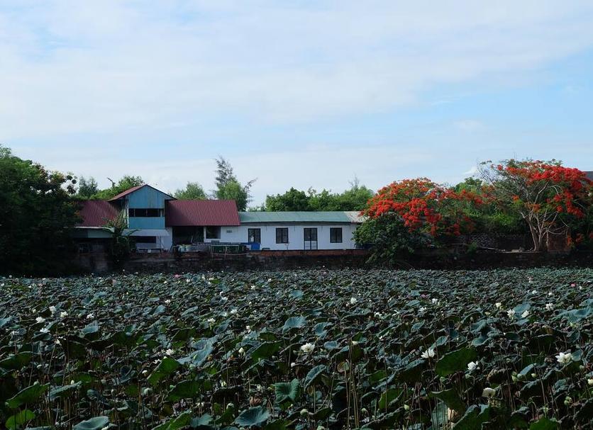 Bangunan Foto