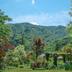 Pemandangan luar