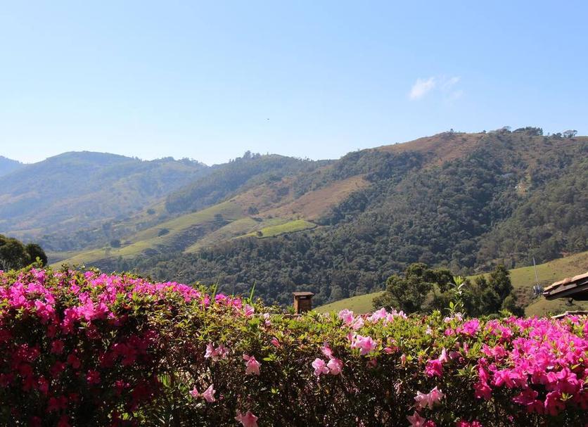 Pemandangan luar Foto