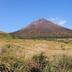 Pemandangan luar