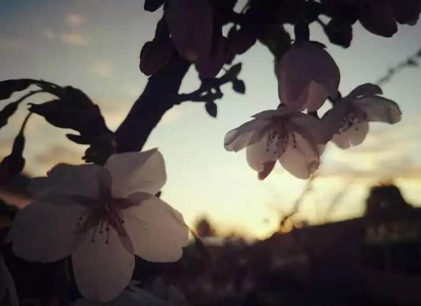 Lainnya Foto