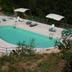 Kolam