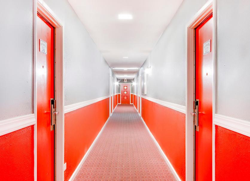 Lorong Foto