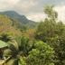 Pemandangan luar