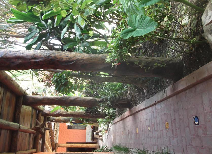 Pemandangan luar Foto