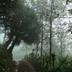 Pemandangan luar