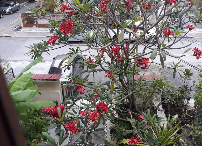 Pemandangan luar Foto