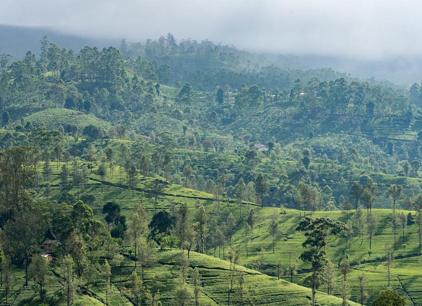 Pemandangan luar Foto
