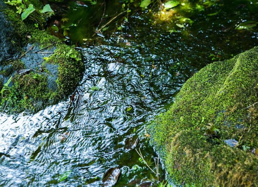 Pemandangan luar Foto