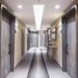 Lorong