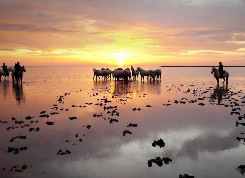 Lainnya Foto