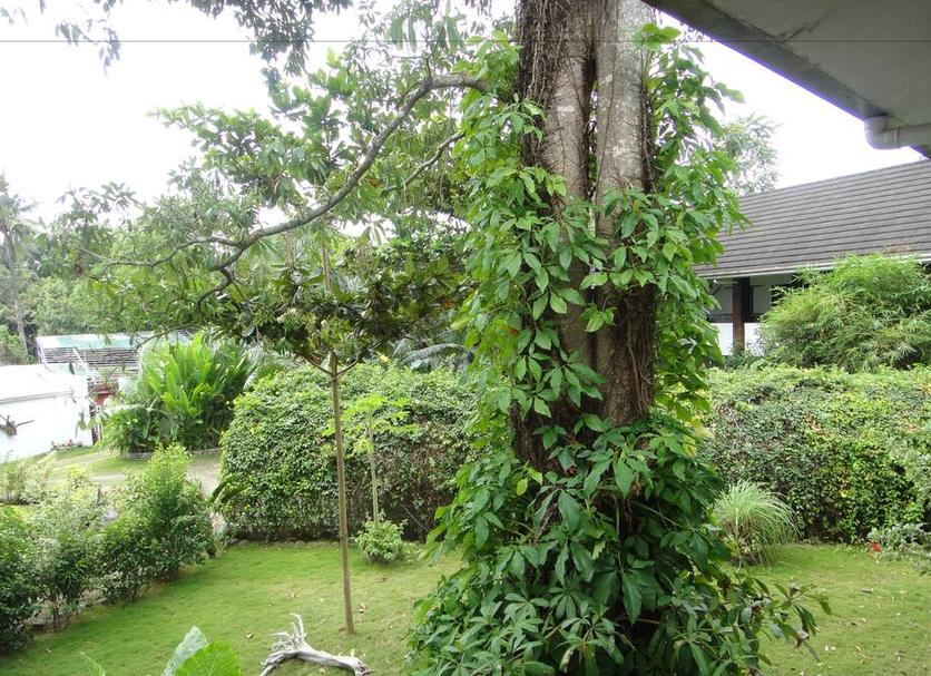 Pemandangan luar Foto