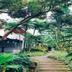 Pemandangan luar