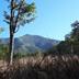 Pemandangan luar