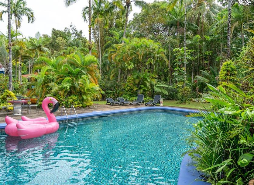Kolam Foto