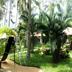 Pemandangan luar