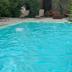 Kolam