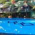 Kolam