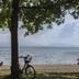 Pantai