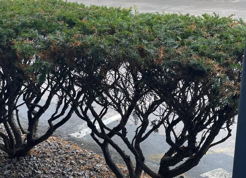Pemandangan luar Foto