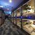 Lorong