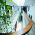 Lorong