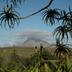 Pemandangan luar